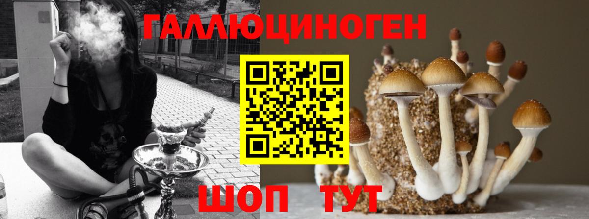 где можно купить наркотик  Вход с VPN  Нижнекамск  Галлюциногенные грибы ЛСД 